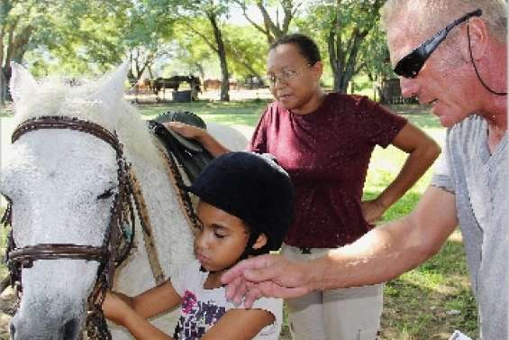 Une structure qui galope