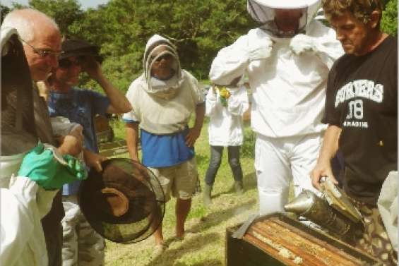 Un essaim d'échanges et de projets