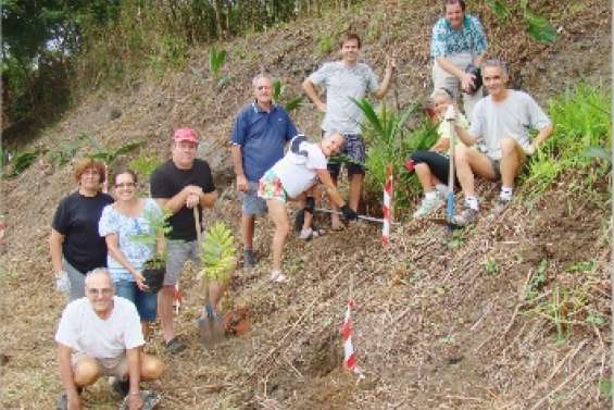 Un sentier pédestre verdoyant