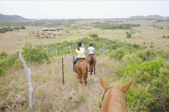 Idées pour un grand pont