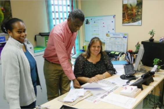 Le bois, filière porteuse