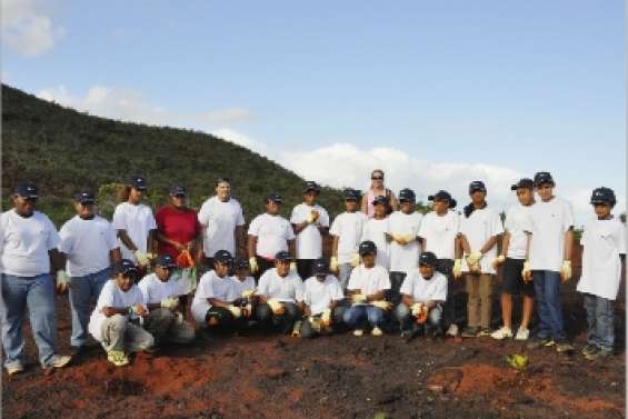 Les bons plants du collège