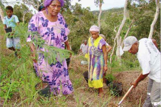 Une plantation exemplaire