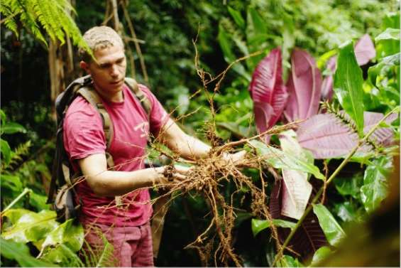 Belle mais dangereuse