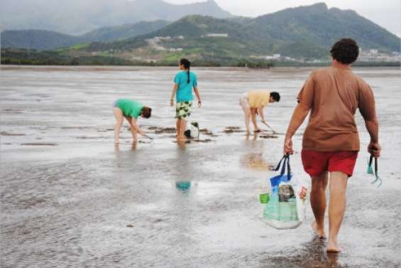 Des grisettes pas nettes