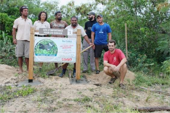 Le rat suivi à la trace