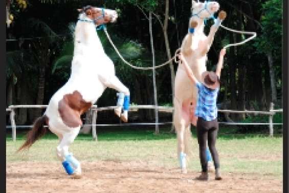 A la cravache et à l'œil