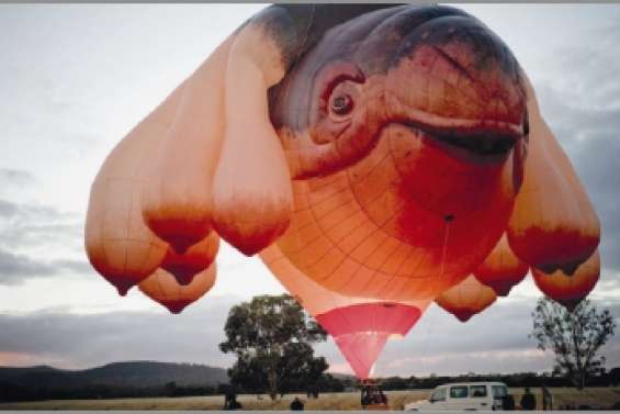 « Qu'est-ce que c'est ? »