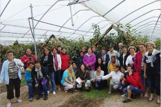 Immersion en terre kiwie