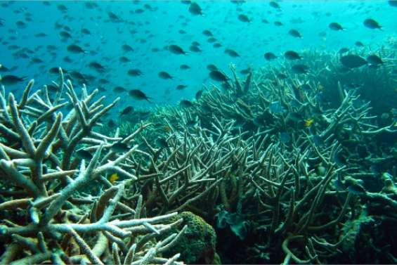 Halte à la fertilisation