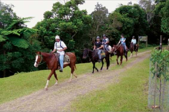 Tous les goûts sont dans la nature