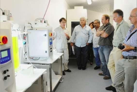 Microalgues en action