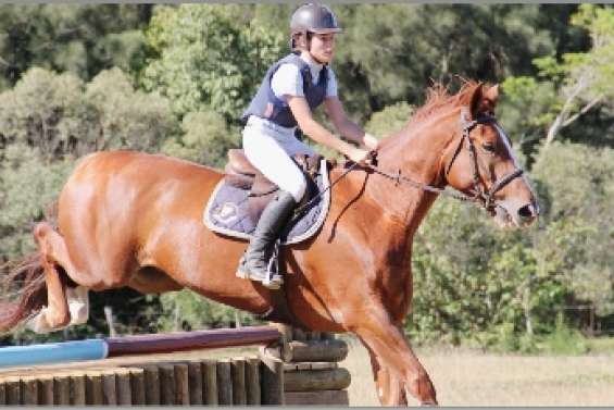 A cheval sur les provinces