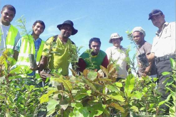 Plus de traces de rats