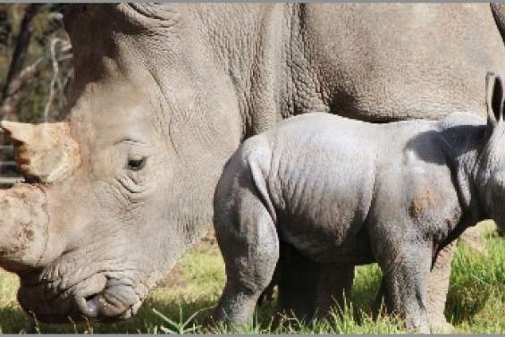 « Un signe d'espoir »