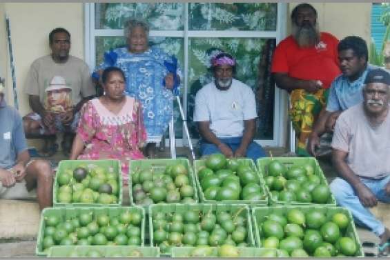650 kg d'avocats pour Aircalin