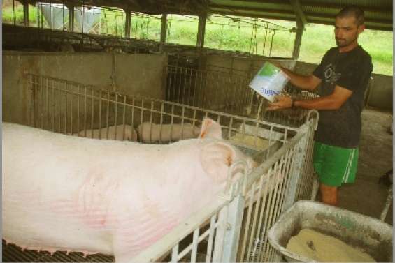 Un plan de relance sur trois ans