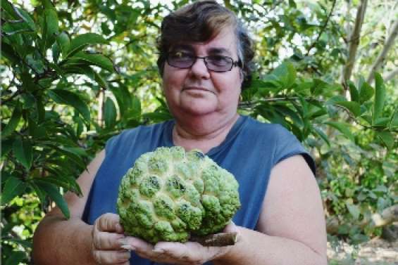 Une pomme cannelle exceptionnelle