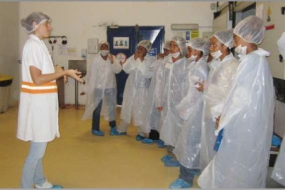 Plongée parmi les yaourts