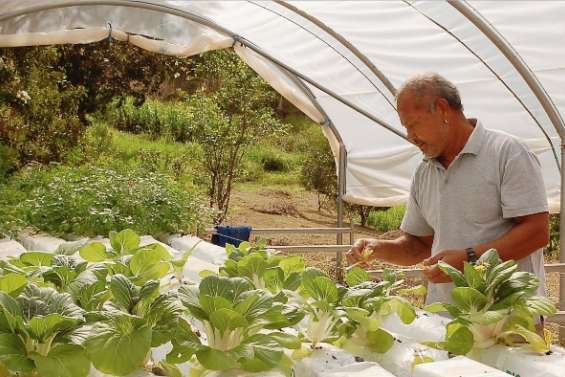 Case départ n'est pas finie