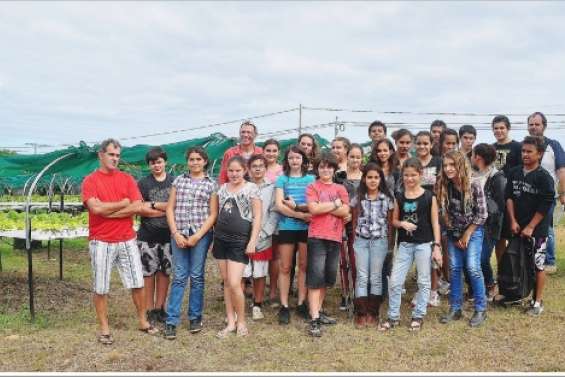 Salade composée au menu