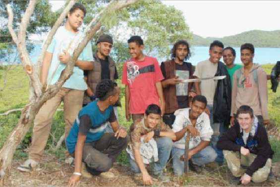Un sentier dans la mangrove