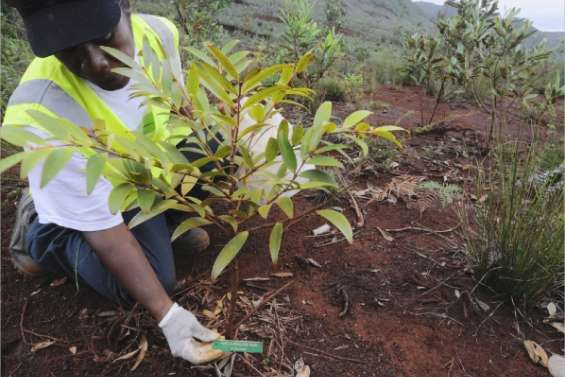 Huit ans après, pas de miracle