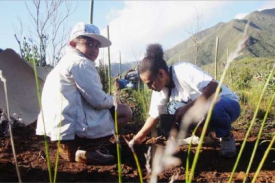 Le WWF reprend le maquis