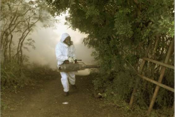 L'épidémie de dengue ralentit