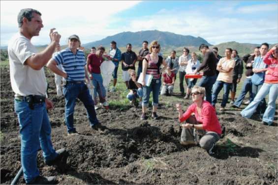 Le bio sème ses graines