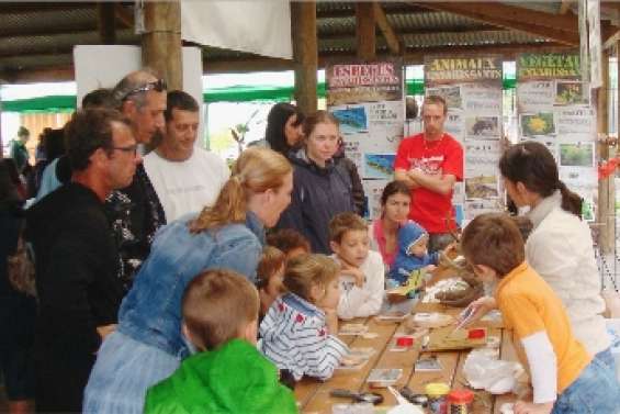 La forêt humide livre ses secrets