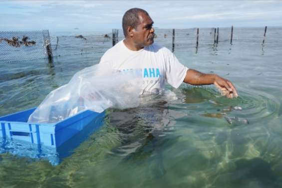 L'île Ouen mise sur la bêche