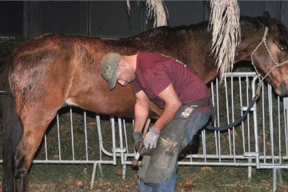 Les artisans dans la lumière