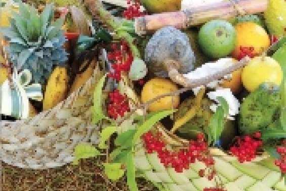 Une journée à Grand Borendy