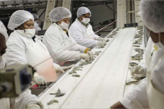 La filière cherche son équilibre