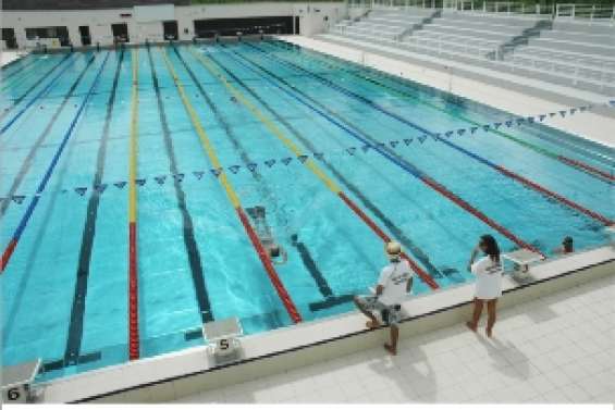 Le directeur du service  des sports décrié