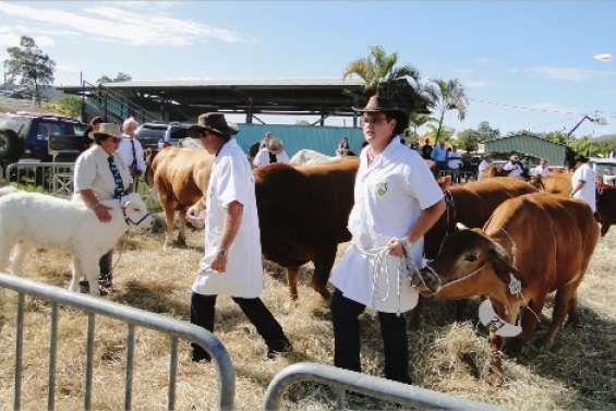 La 36e foire approche