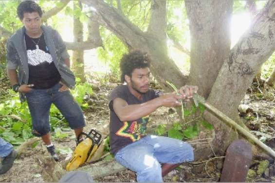 Travaux pratiques sur l'îlot Tibarama