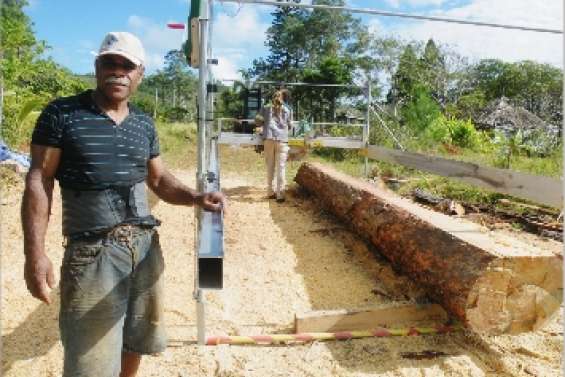 Terminus pour le pinus