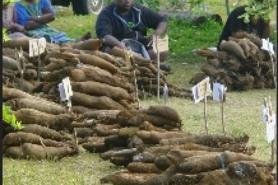 Mariages façon Nengoné