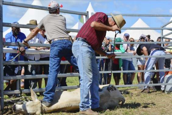 36 ans et pas une ride