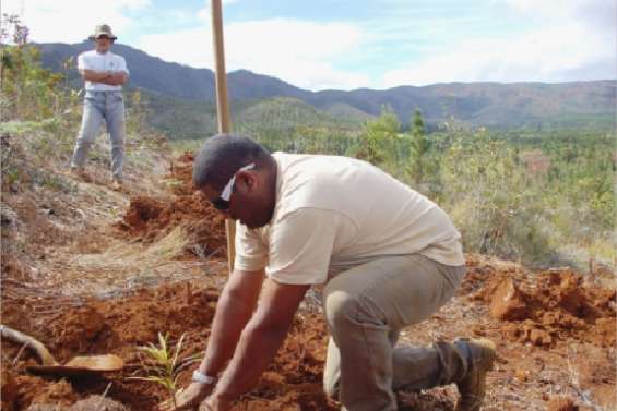 Ça pousse dans le Grand Sud