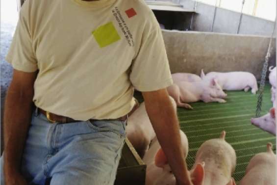 Sélectionneur de champions