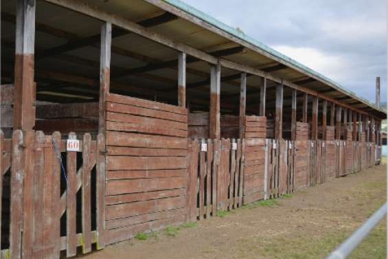 70 millions aux écuries