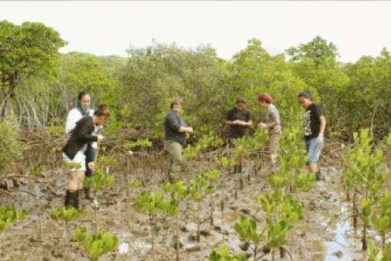 C'est parti pour les Nickels de l'initiative