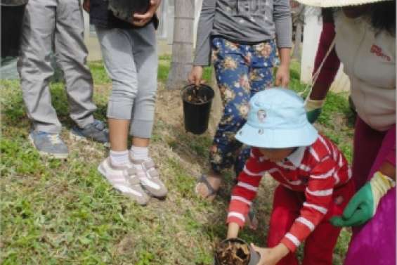 P'tits écolos, grandes actions