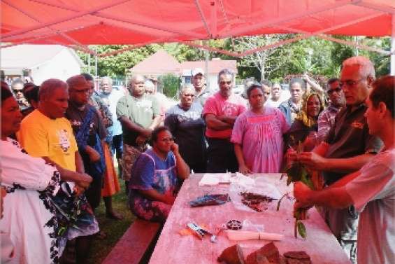 Apprendre à cultiver l'igname