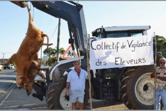 Les éleveurs sont excédés