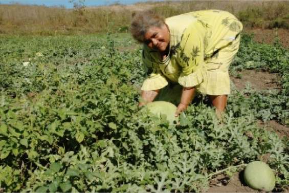 Exploitation à taille humaine