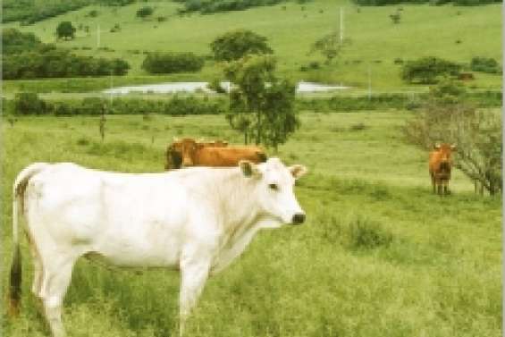 « Inverser la vapeur »